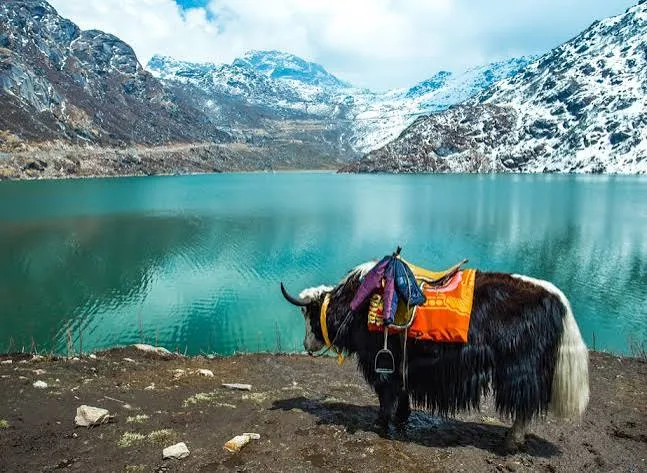 Tsomgo (Changu) Lake tour packages